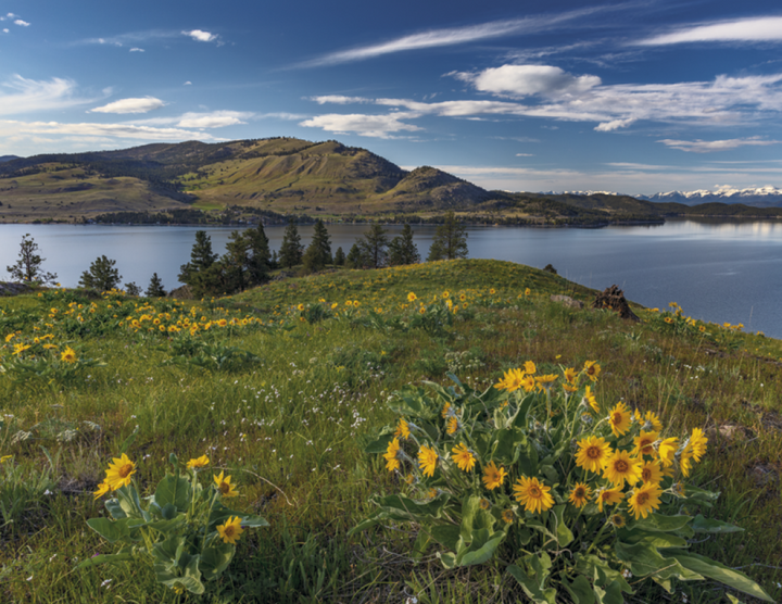 Triumph® Calendars American Splendor Calendar