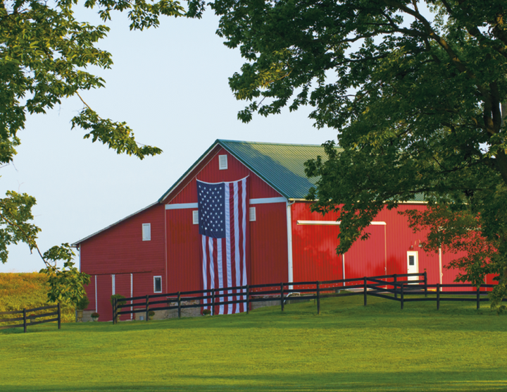 Good Value™ Celebrate America - Spiral Calendar