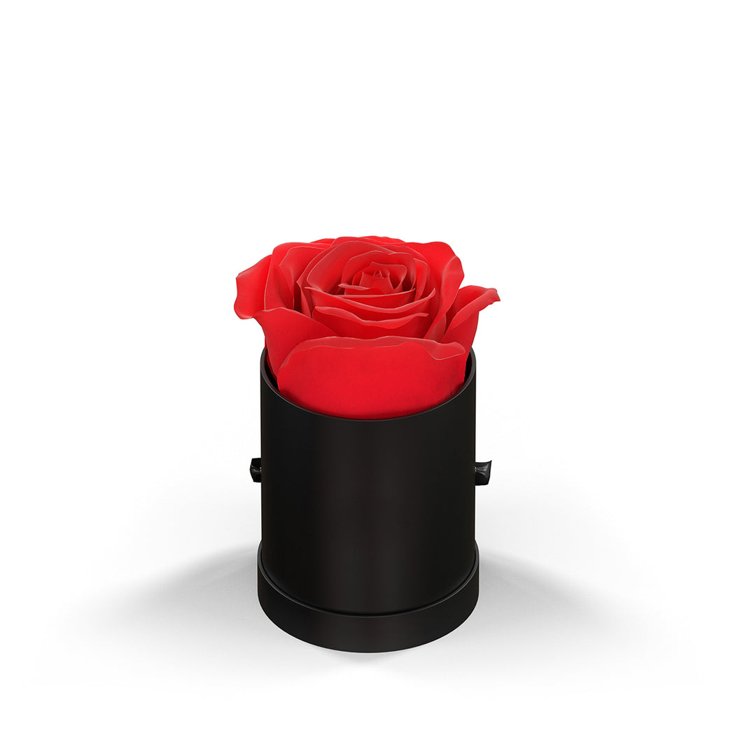 Classique by VeF Le Mini™ Round