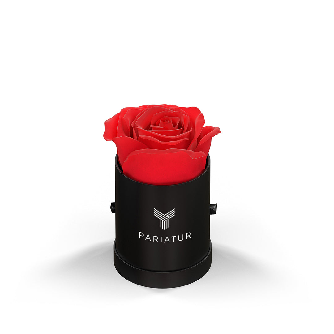 Classique by VeF Le Mini™ Round