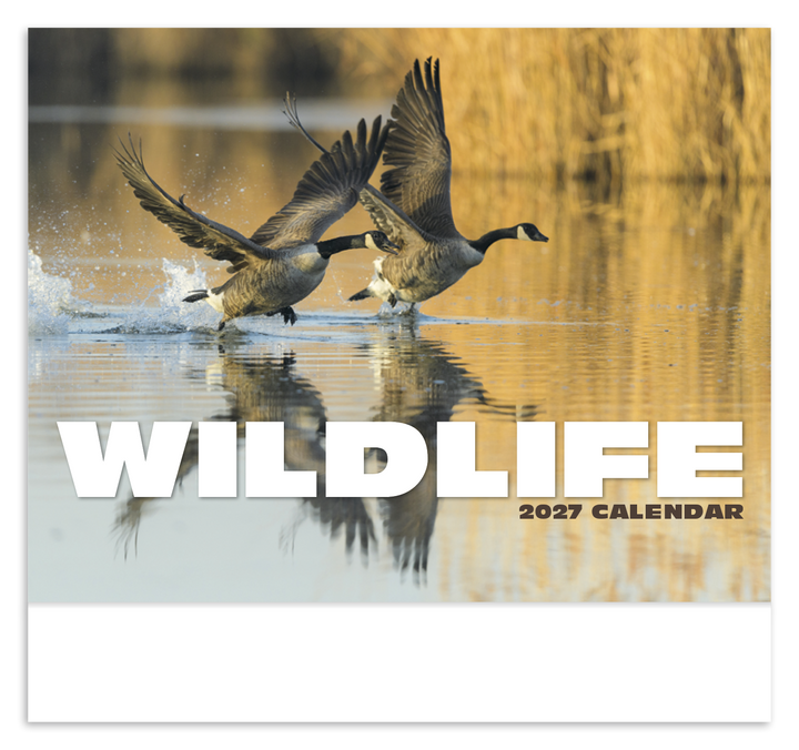 HotLine® Products Wildlife Appointment Calendar - Stapled