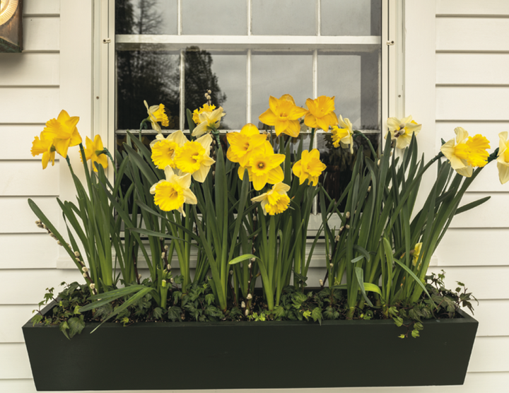 Good Value™ Garden Walk - Stapled Calendar