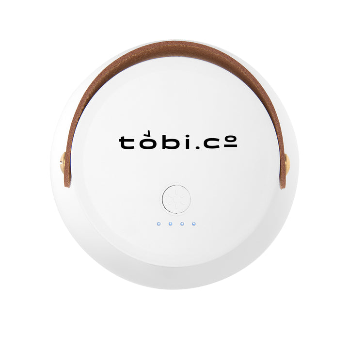Rechargeable Lamp With Removeable Lantern Top