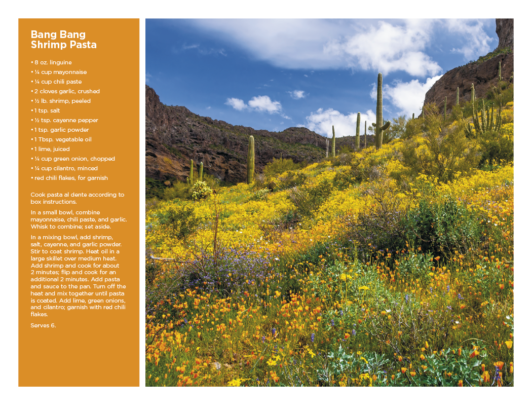 Triumph® Calendars America the Beautiful with Recipes Calendar