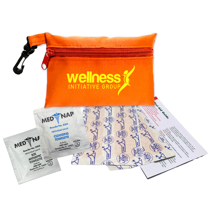 Zip Pouch First Aid Kit 2