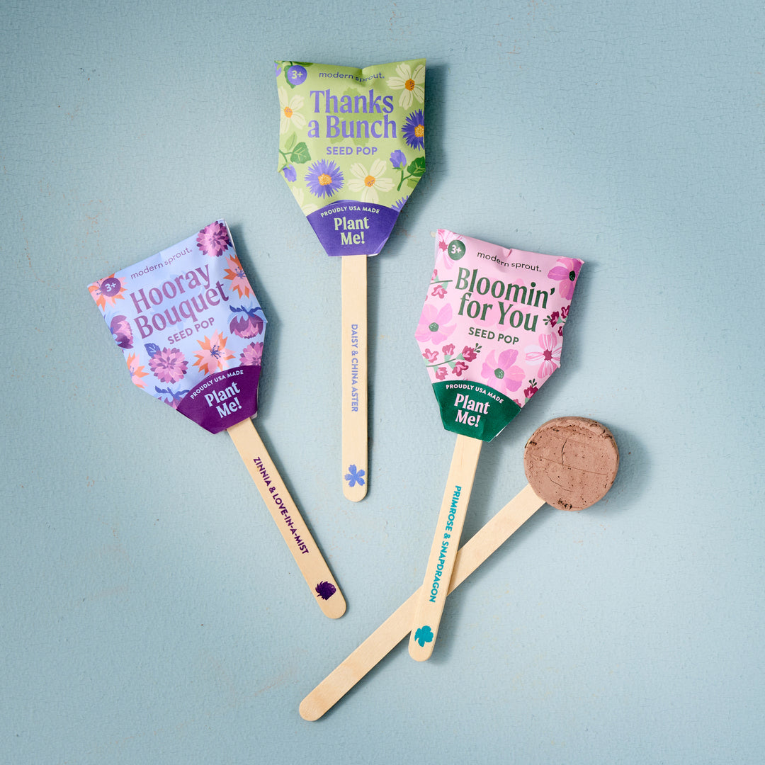 Modern Sprout® Flower Seed Pop
