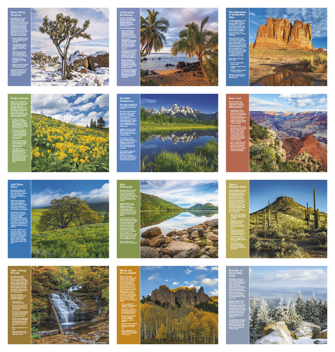 Good Value™ Healthy Living - Window Calendar