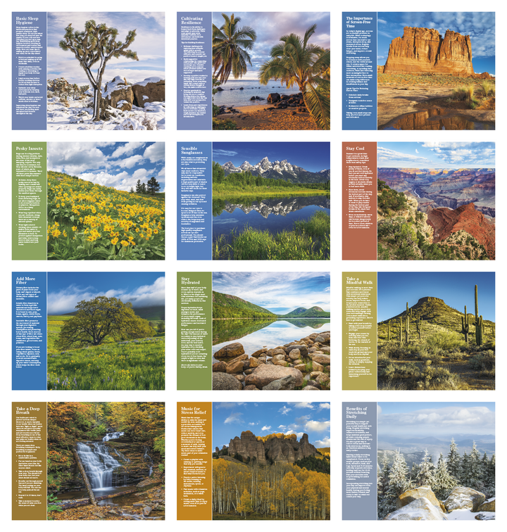 Good Value™ Healthy Living - Window Calendar