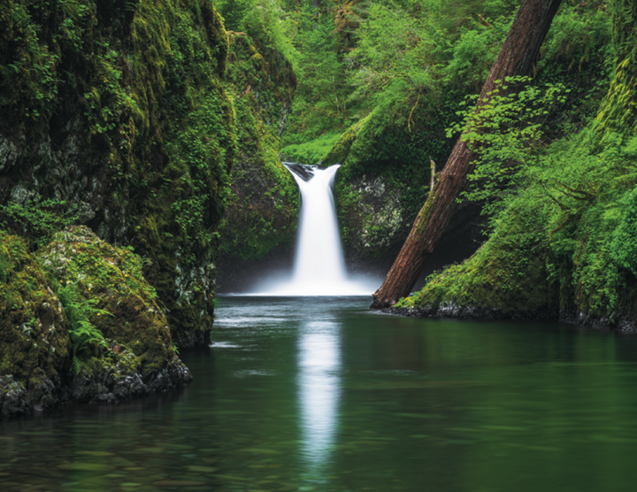 Triumph® Calendars Scenic Inspirations Calendar