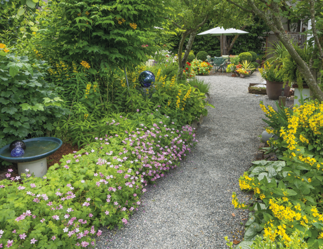 Good Value™ Garden Walk - Window Calendar