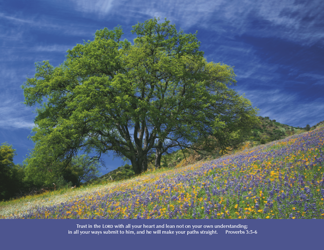 Good Value™ Eternal Word without Funeral Planner - Spiral Calendar