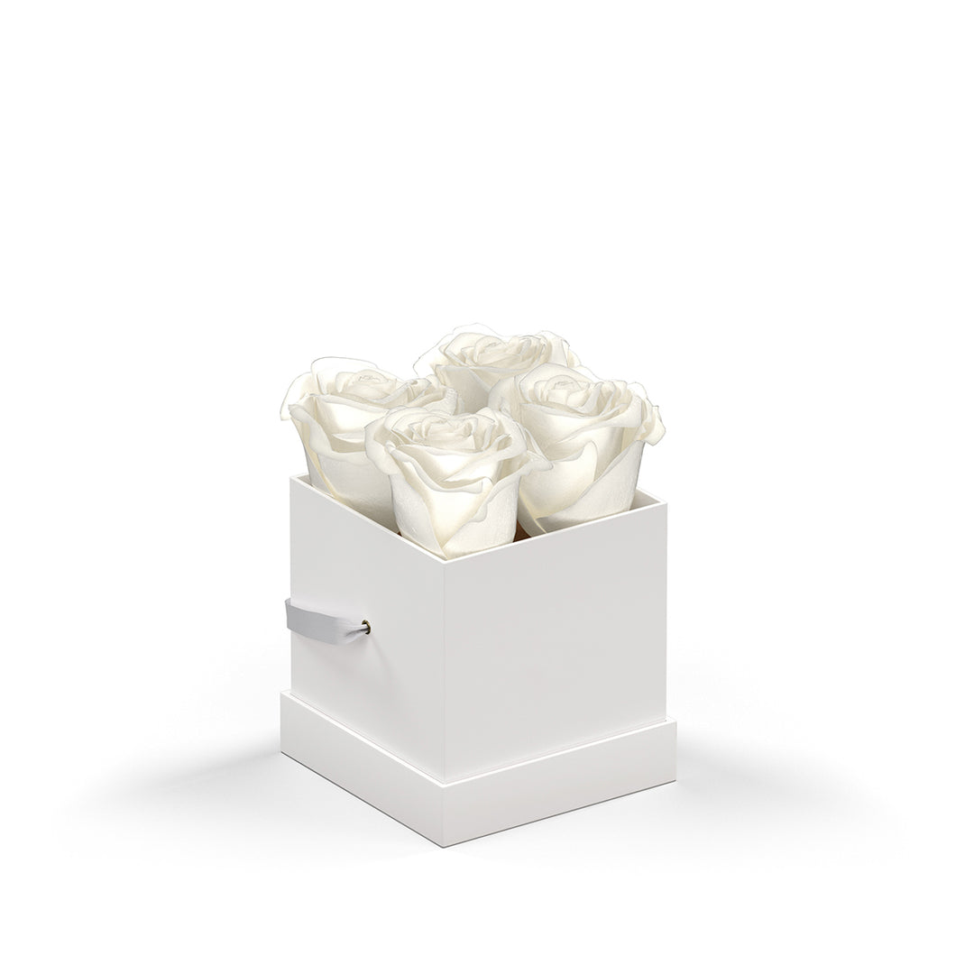 Classique by VeF Petit