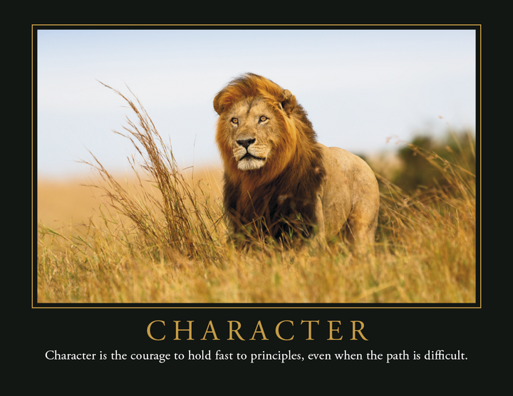 Triumph® Calendars Motivations Calendar