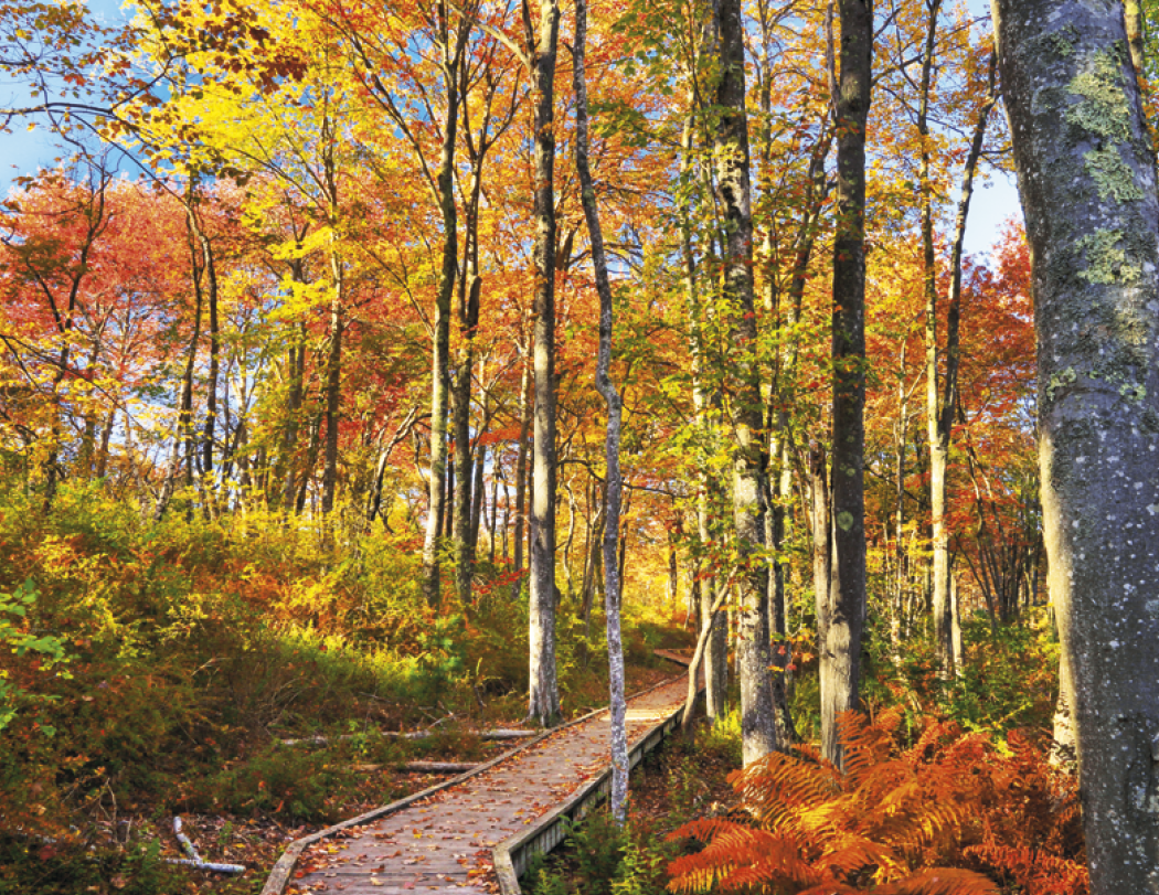 Triumph® Calendars Scenic Inspirations Calendar