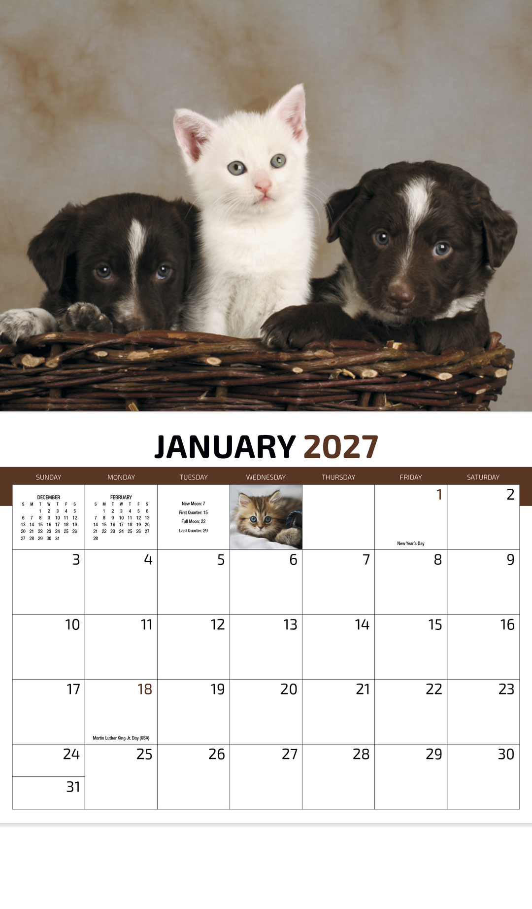 HotLine® Products Four Paws Appointment Calendar - Stapled