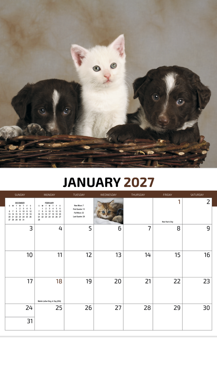 HotLine® Products Four Paws Appointment Calendar - Stapled