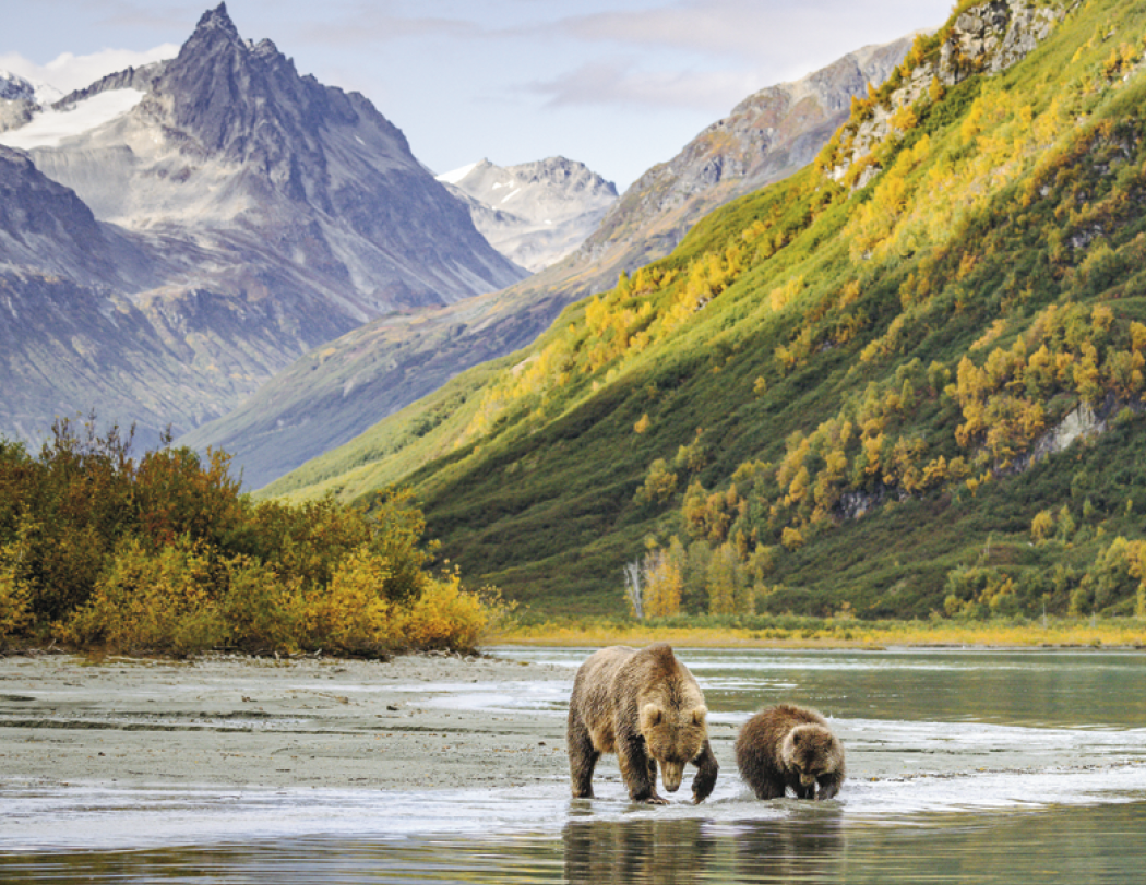 Triumph® Calendars National Parks Calendar