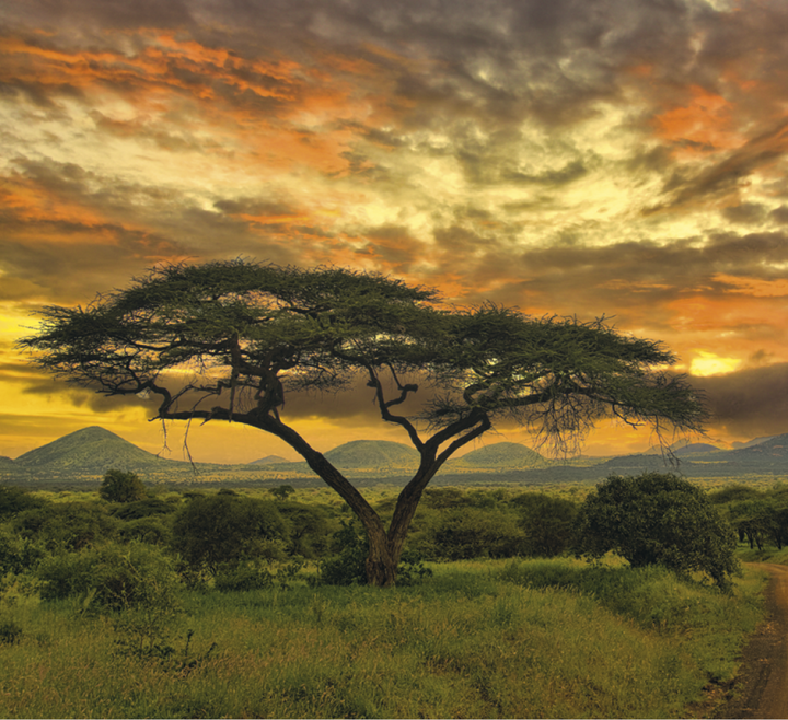Good Value™ Glorious Getaways - Mini Calendar
