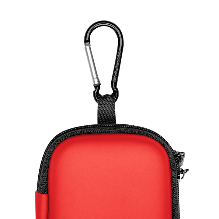 Protective Case With Carabiner