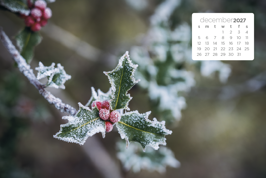 Triumph® Calendars Simplicity Large Desk Calendar