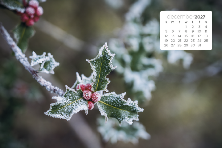 Triumph® Calendars Simplicity Large Desk Calendar