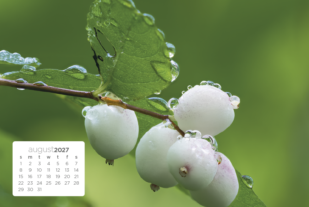 Triumph® Calendars Simplicity Large Desk Calendar