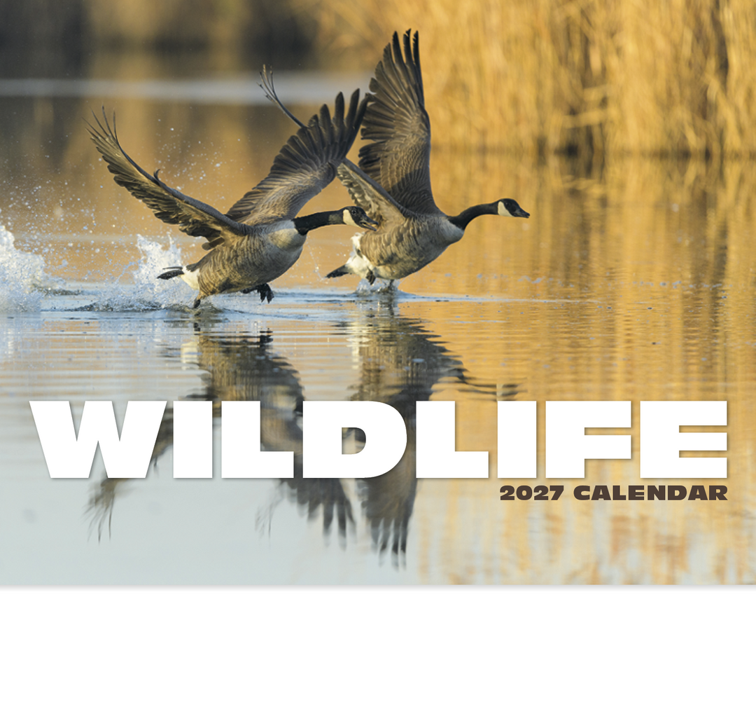 HotLine® Products Wildlife Appointment Calendar - Stapled