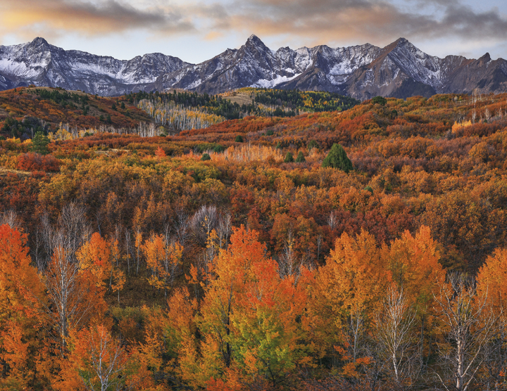 Triumph® Calendars Religious Inspirations Calendar