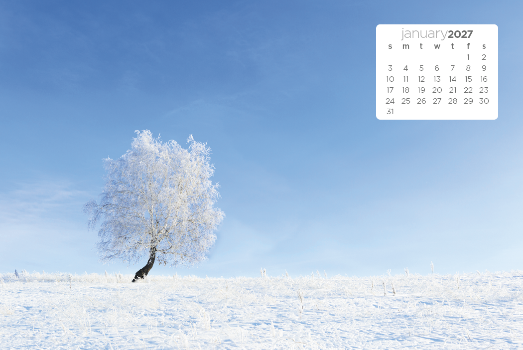 Triumph® Calendars Simplicity Large Desk Calendar
