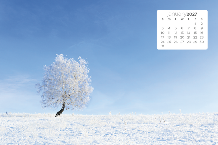 Triumph® Calendars Simplicity Large Desk Calendar