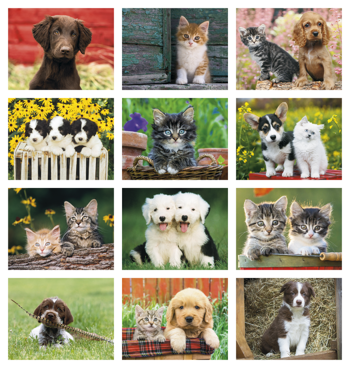 Good Value™ Puppies & Kittens - Stapled Calendar