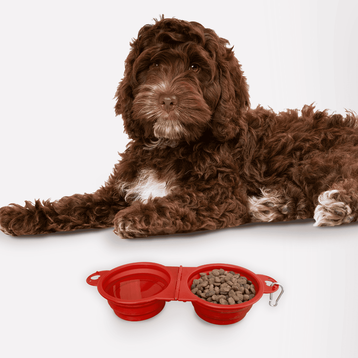 Top Tail Double Collapsible Pet Bowl