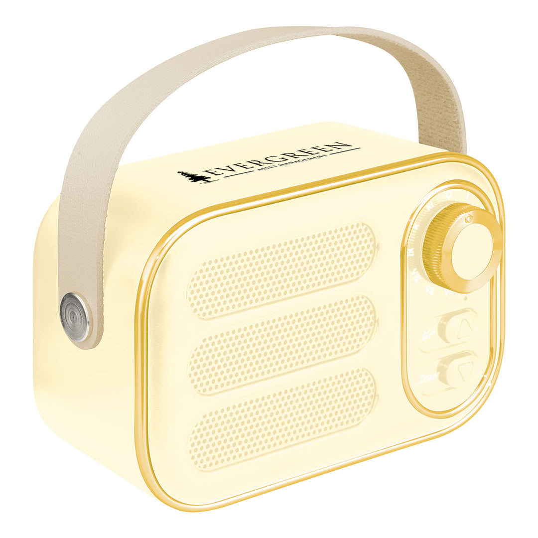 AWS Retro Boom FM Radio & Wireless Speaker