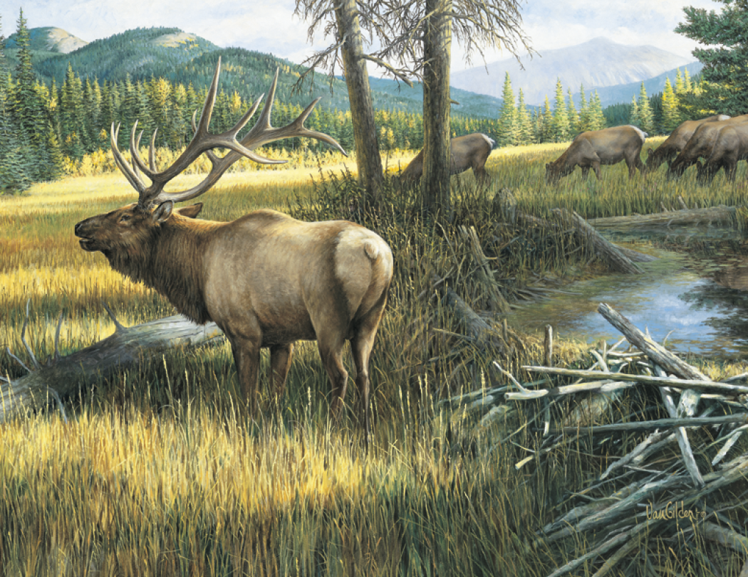 Triumph® Calendars Wildlife Art Calendar