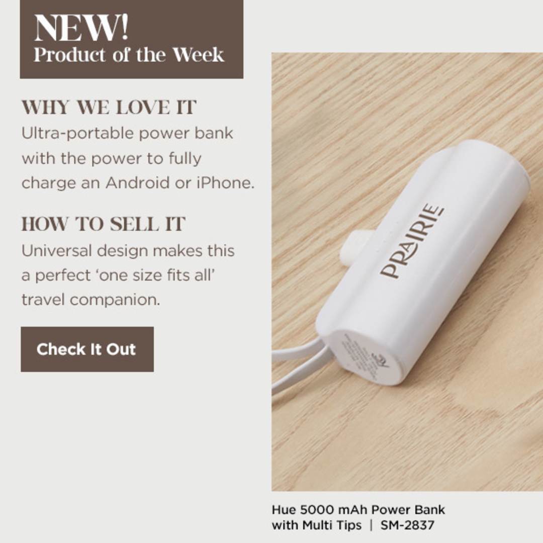 Hue 5000 mAh Power Bank with Multi Tips