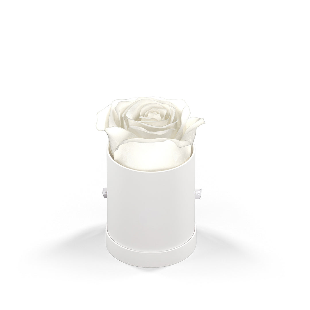 Classique by VeF Le Mini™ Round