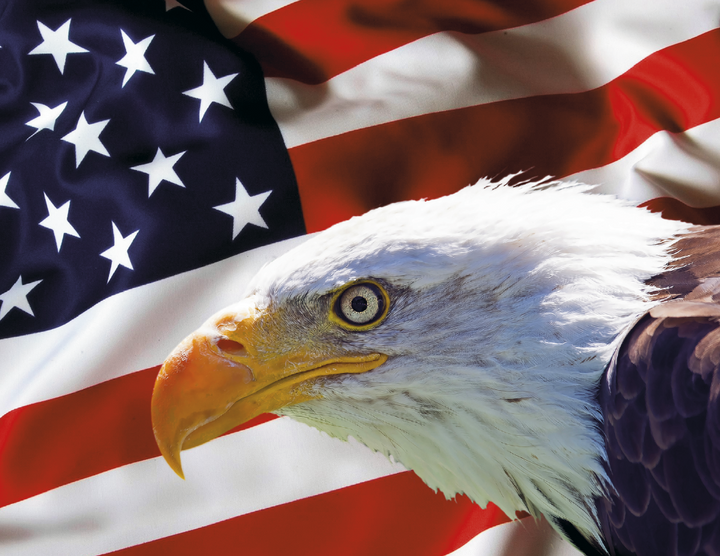 Triumph® Calendars I Love America Calendar
