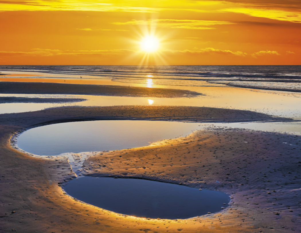 Triumph® Calendars Sunrise Sunset Calendar
