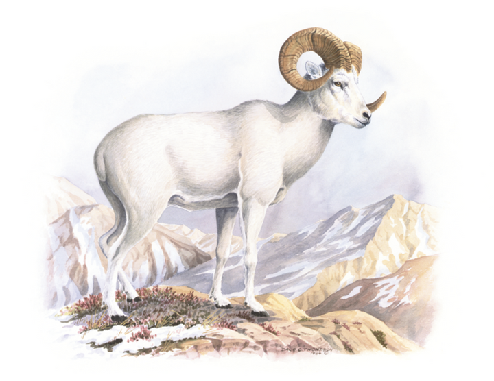 Good Value™ Wildlife Trek - Stapled Calendar