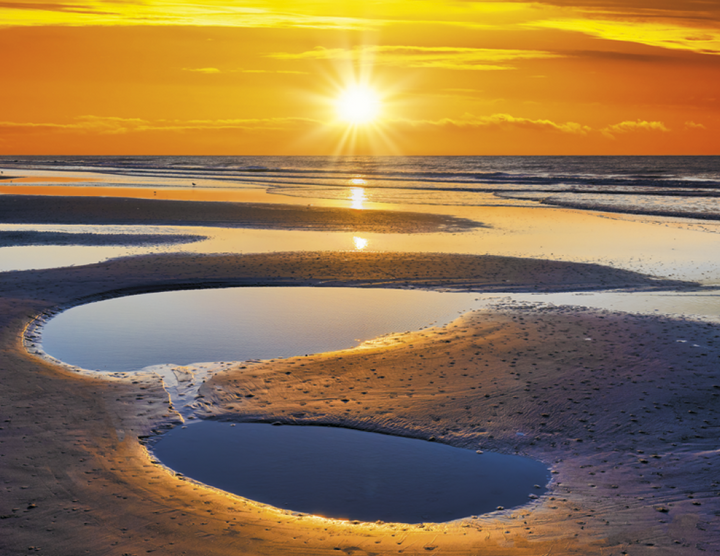 Triumph® Calendars Sunrise Sunset Calendar