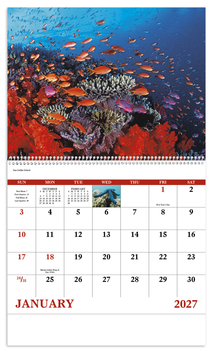 Good Value™ Ocean Glory - Spiral Calendar