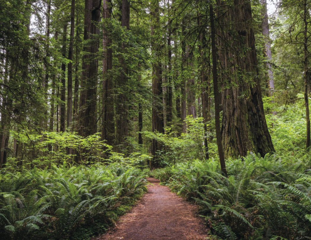 Triumph® Calendars National Parks Calendar