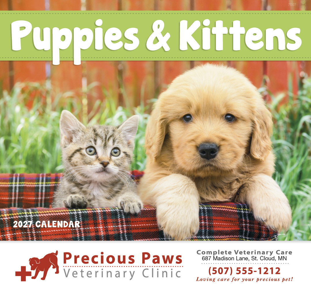Good Value™ Puppies & Kittens - Stapled Calendar