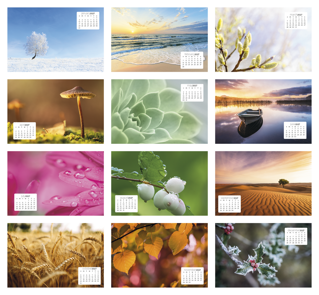 Triumph® Calendars Simplicity Large Desk Calendar