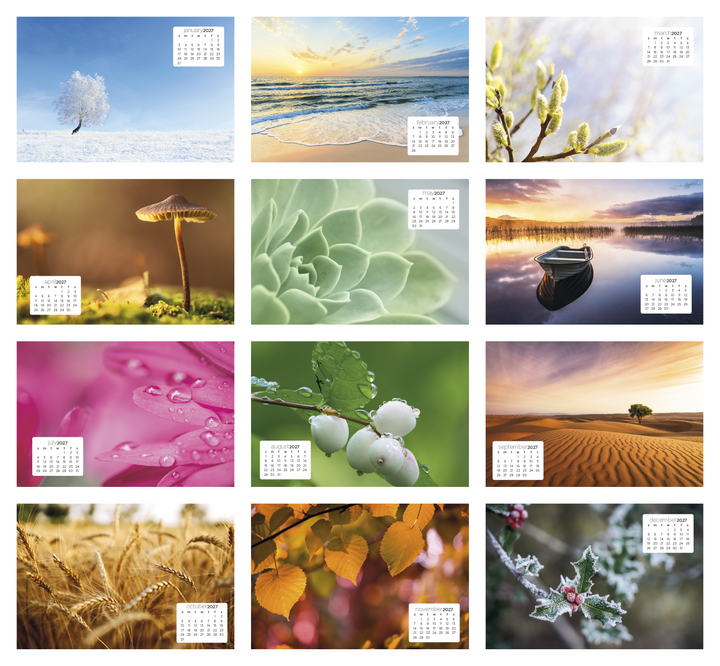 Triumph® Calendars Simplicity Large Desk Calendar