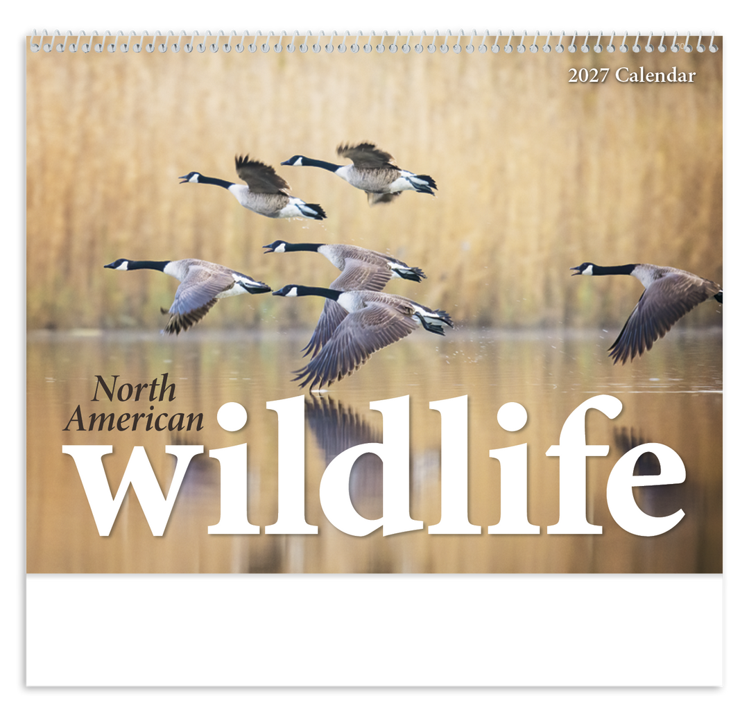 Triumph® Calendars North American Wildlife Calendar