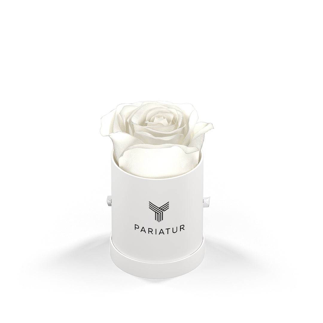 Classique by VeF Le Mini™ Round