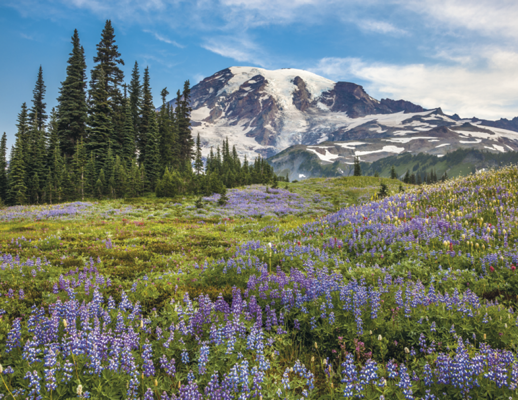 Triumph® Calendars American Splendor Calendar