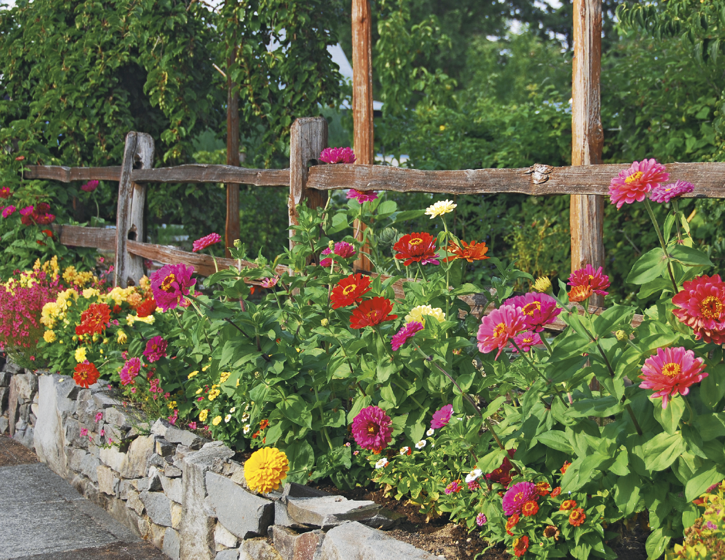 Good Value™ Garden Walk - Window Calendar