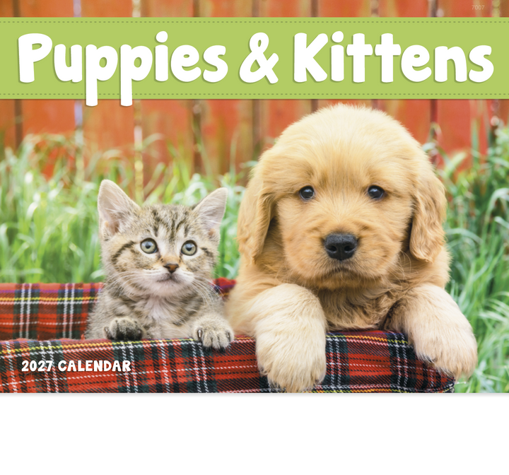 Good Value™ Puppies & Kittens - Stapled Calendar